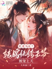贬妻为妾？转嫁纨绔王爷被宠上天贬妻为妾？转嫁纨绔王爷被宠上天